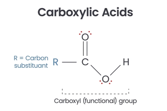 Carboxylic Acid: An Overview of Its Chemistry and Applications
